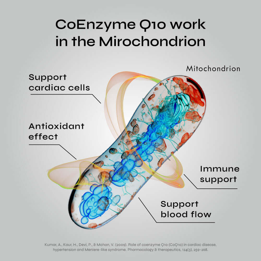 CoEnzyme Q10 Capsules (CoQ10) - Image 4