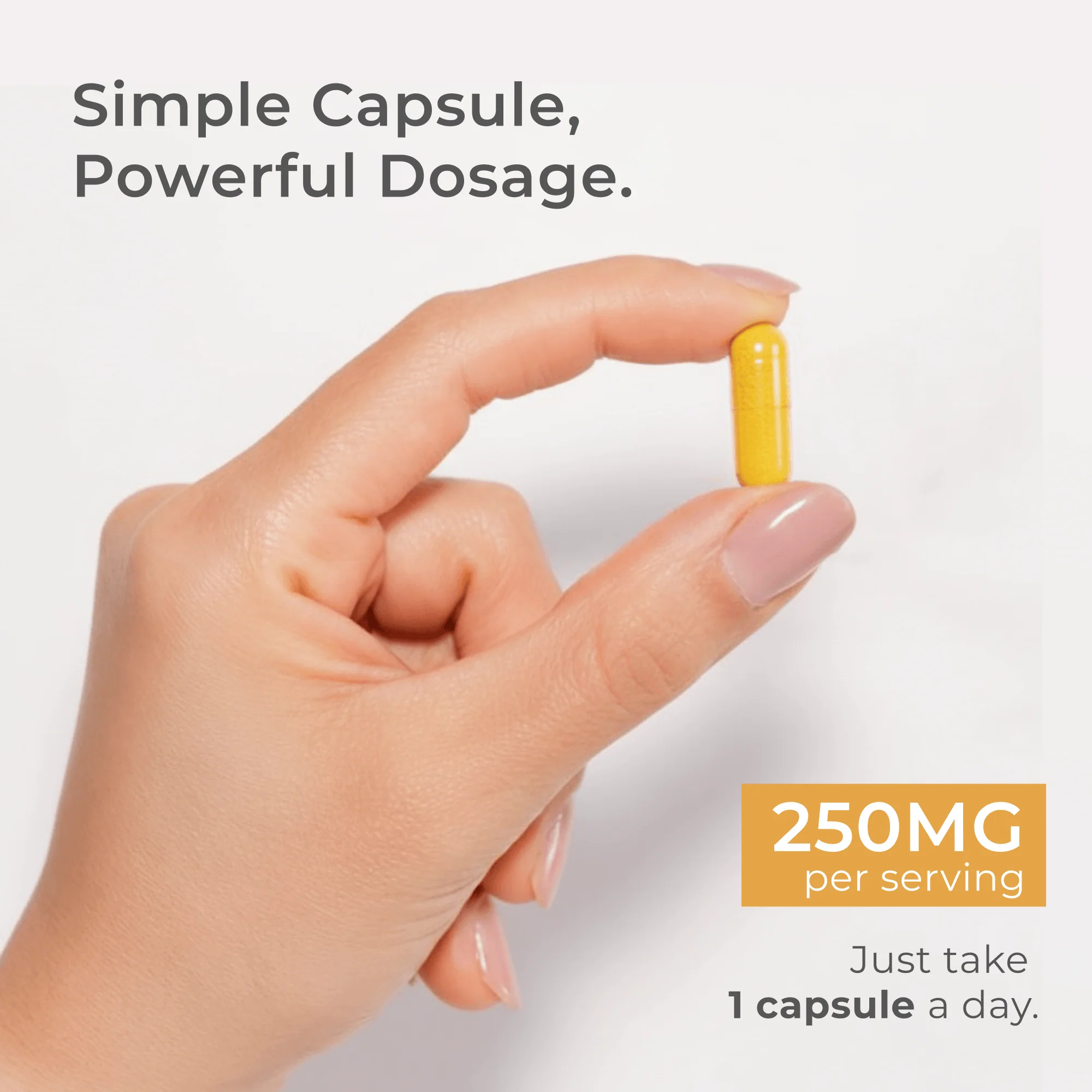 Dihydroberberine Capsules - Image 3