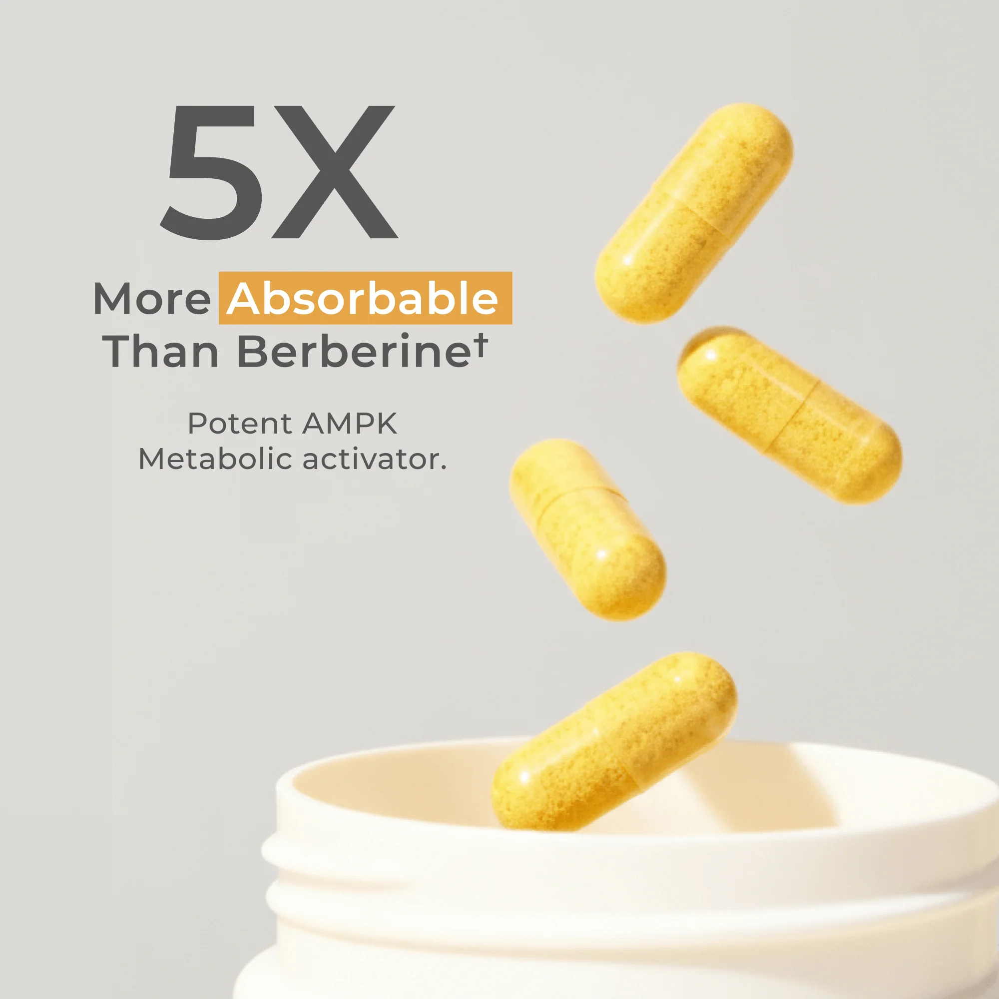 Dihydroberberine Capsules - Image 5