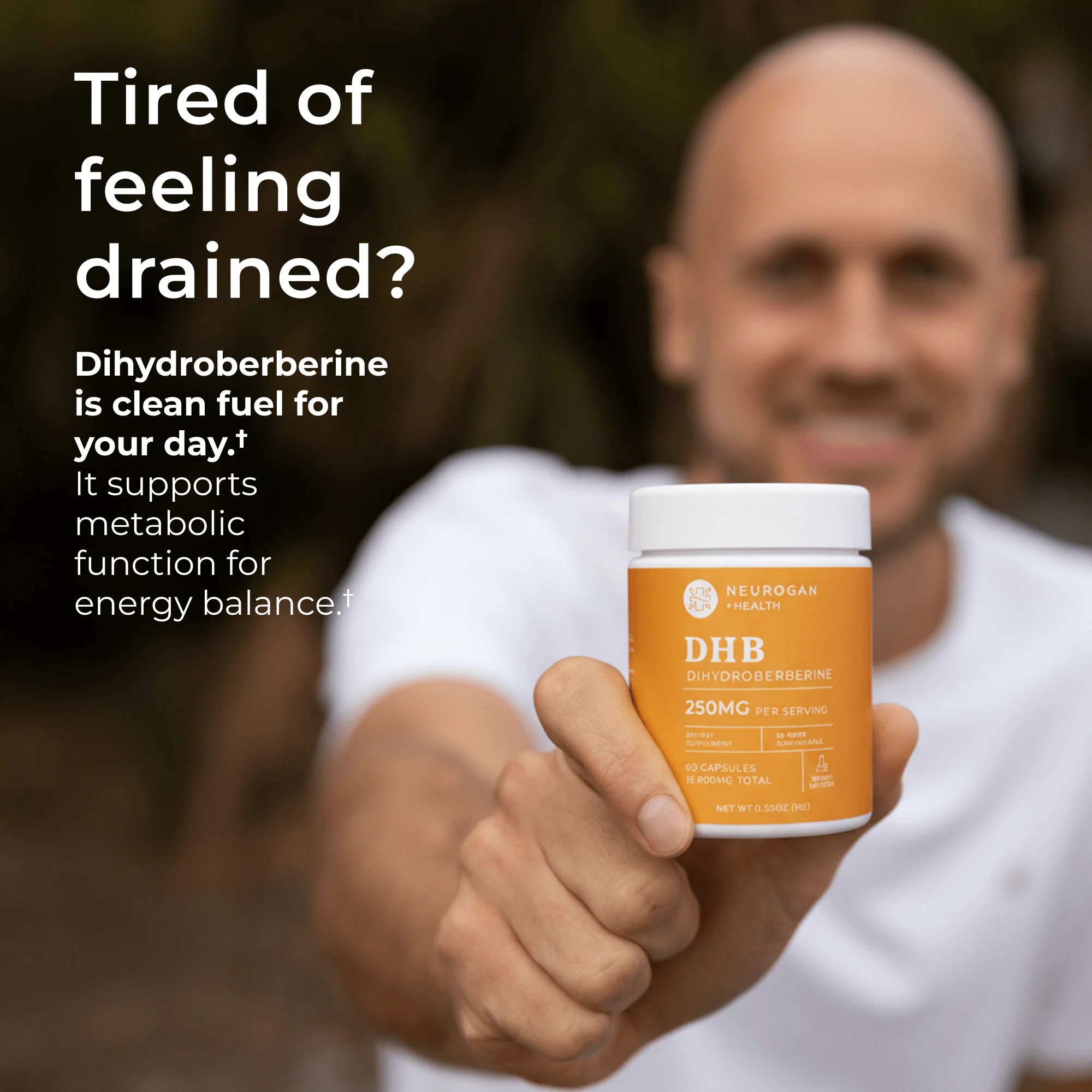 Dihydroberberine Capsules - Image 6