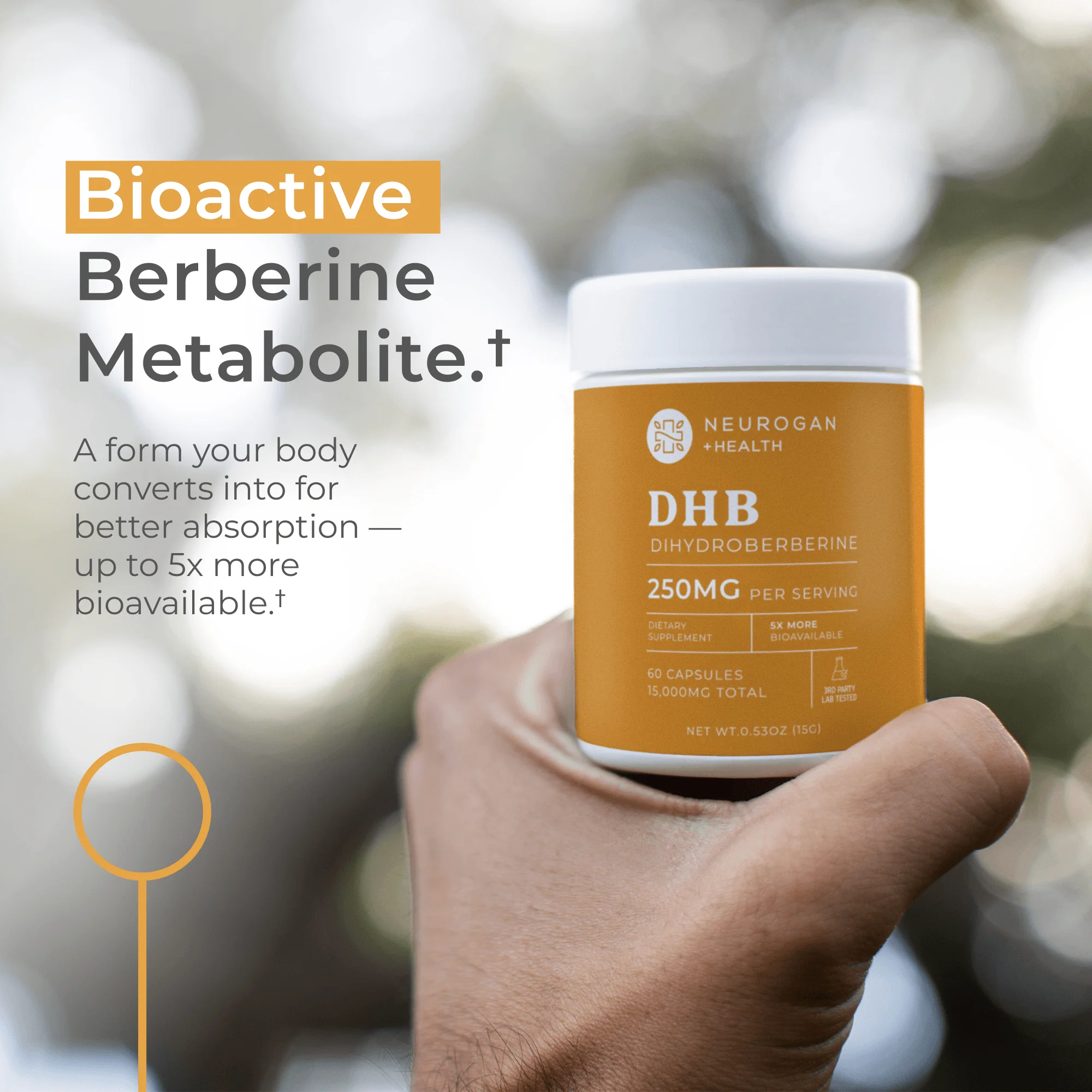Dihydroberberine Capsules - Image 7