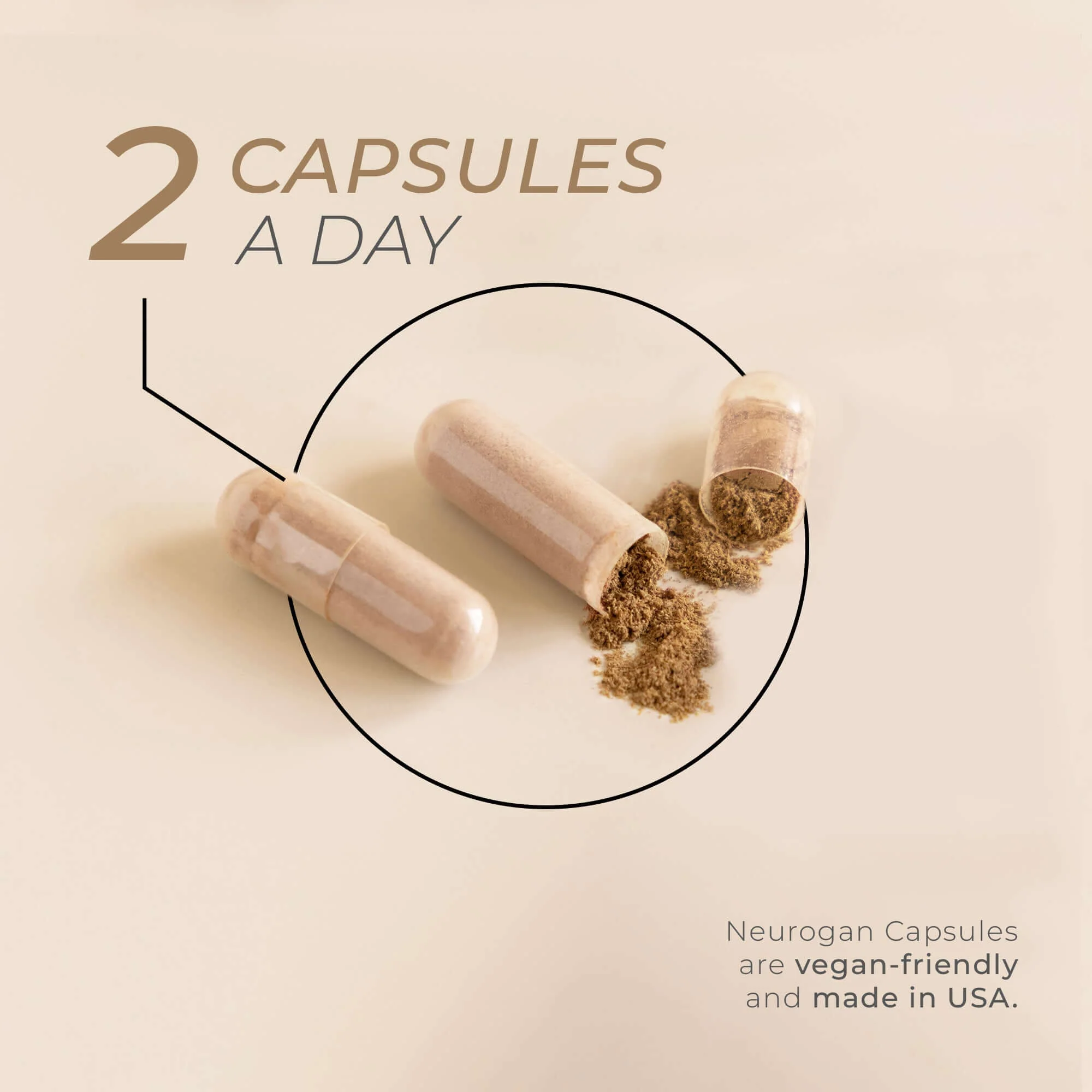 Fenugreek Seed Capsules - Image 3
