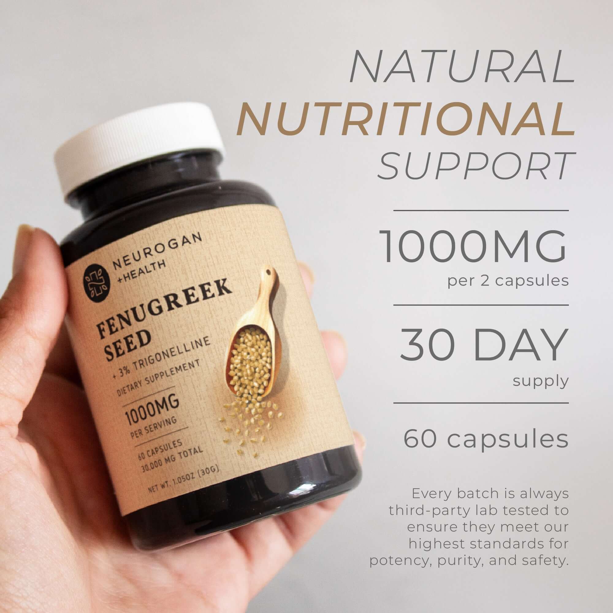 Fenugreek Seed Capsules - Image 4