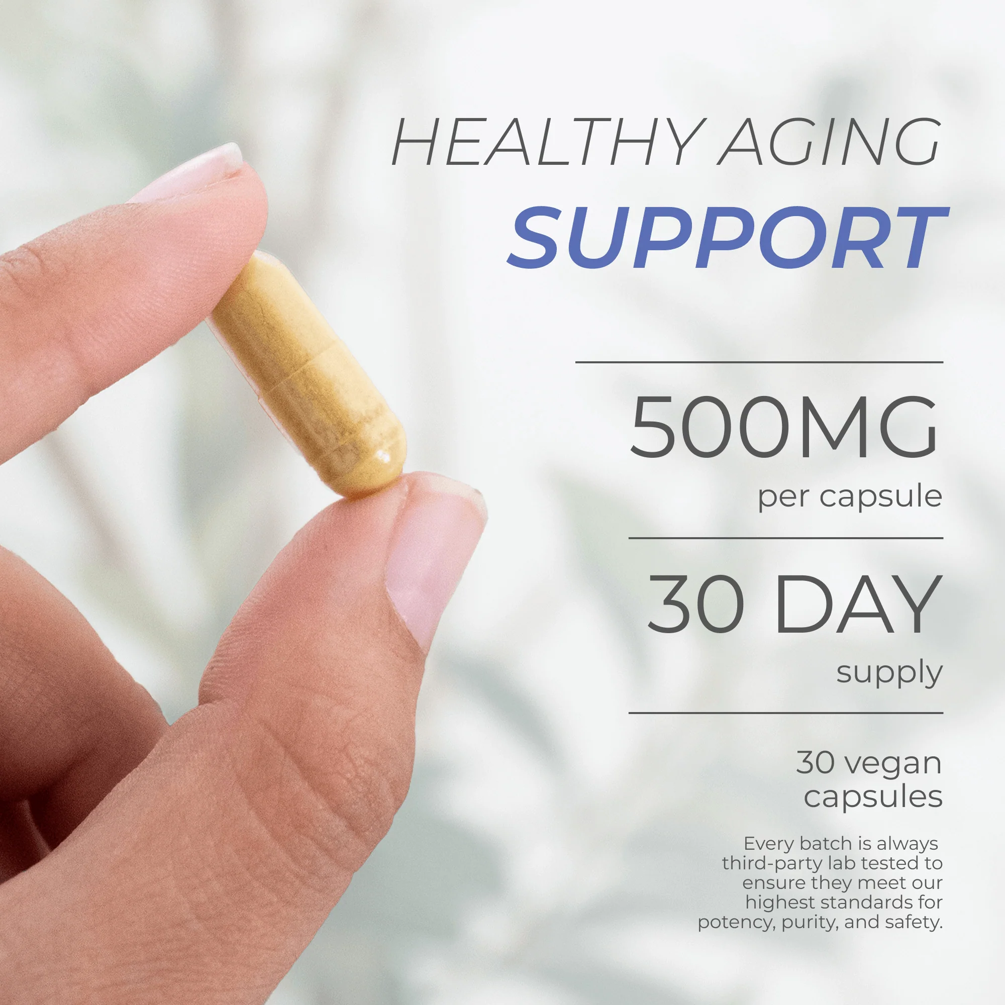 Fisetin Capsules - Image 4