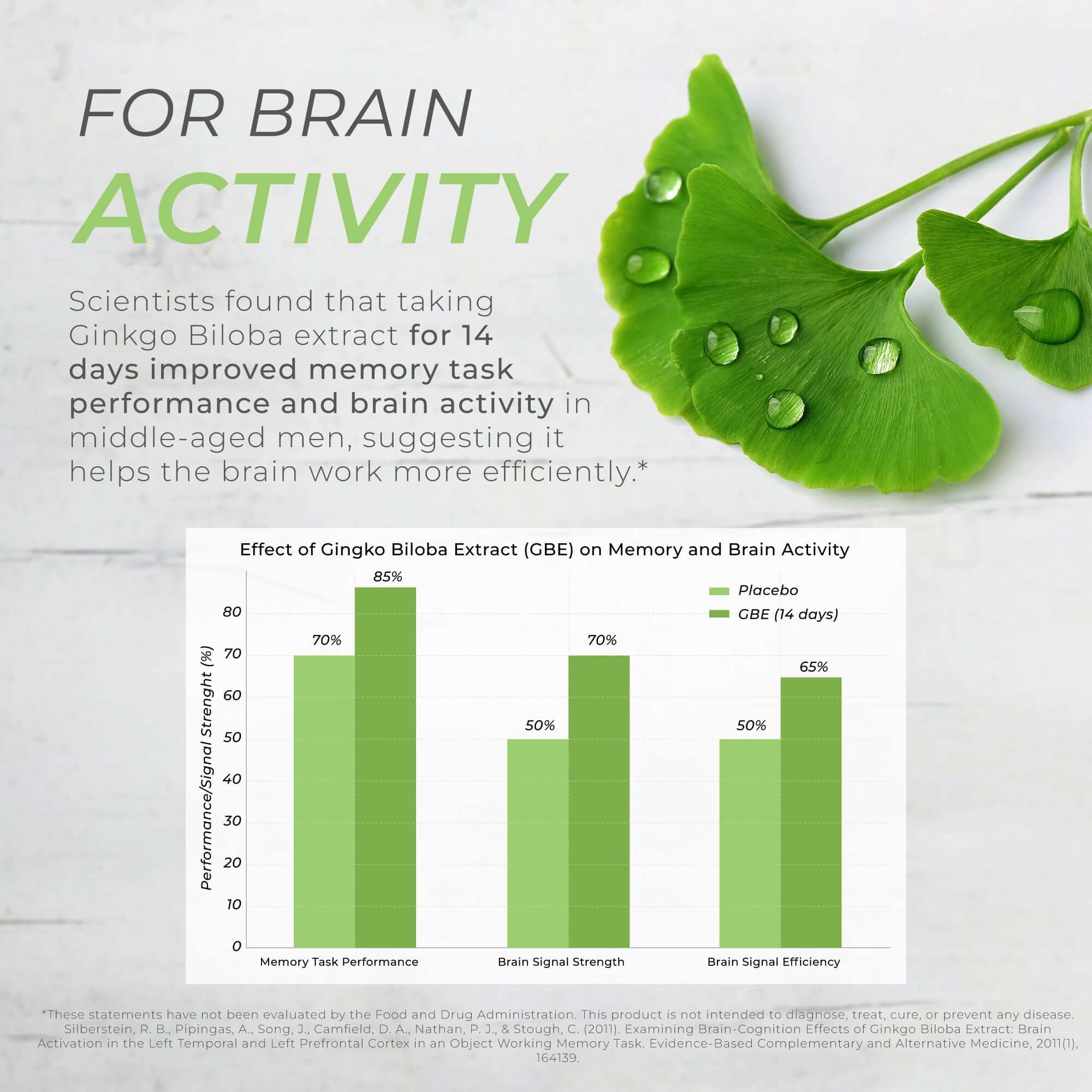 Ginkgo Biloba Capsules - Image 4