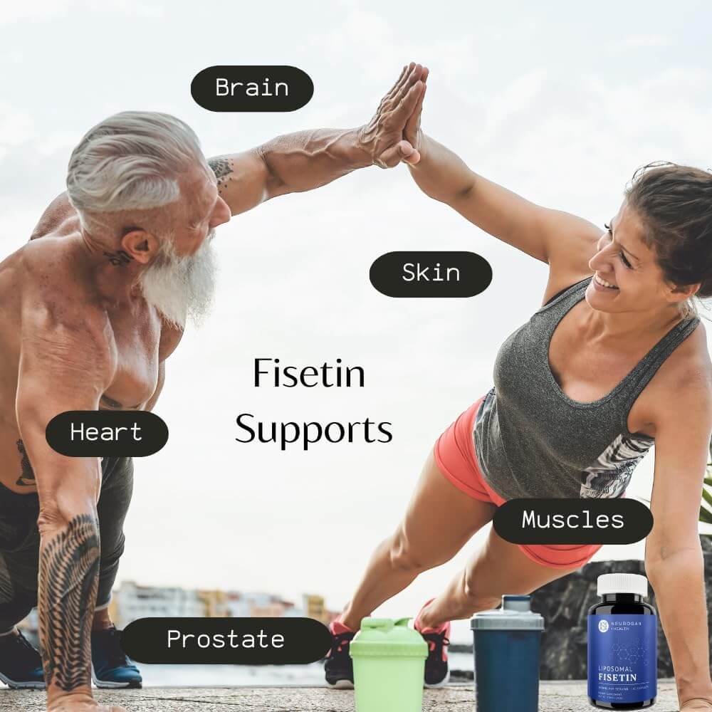 Liposomal Fisetin Capsules - Image 4
