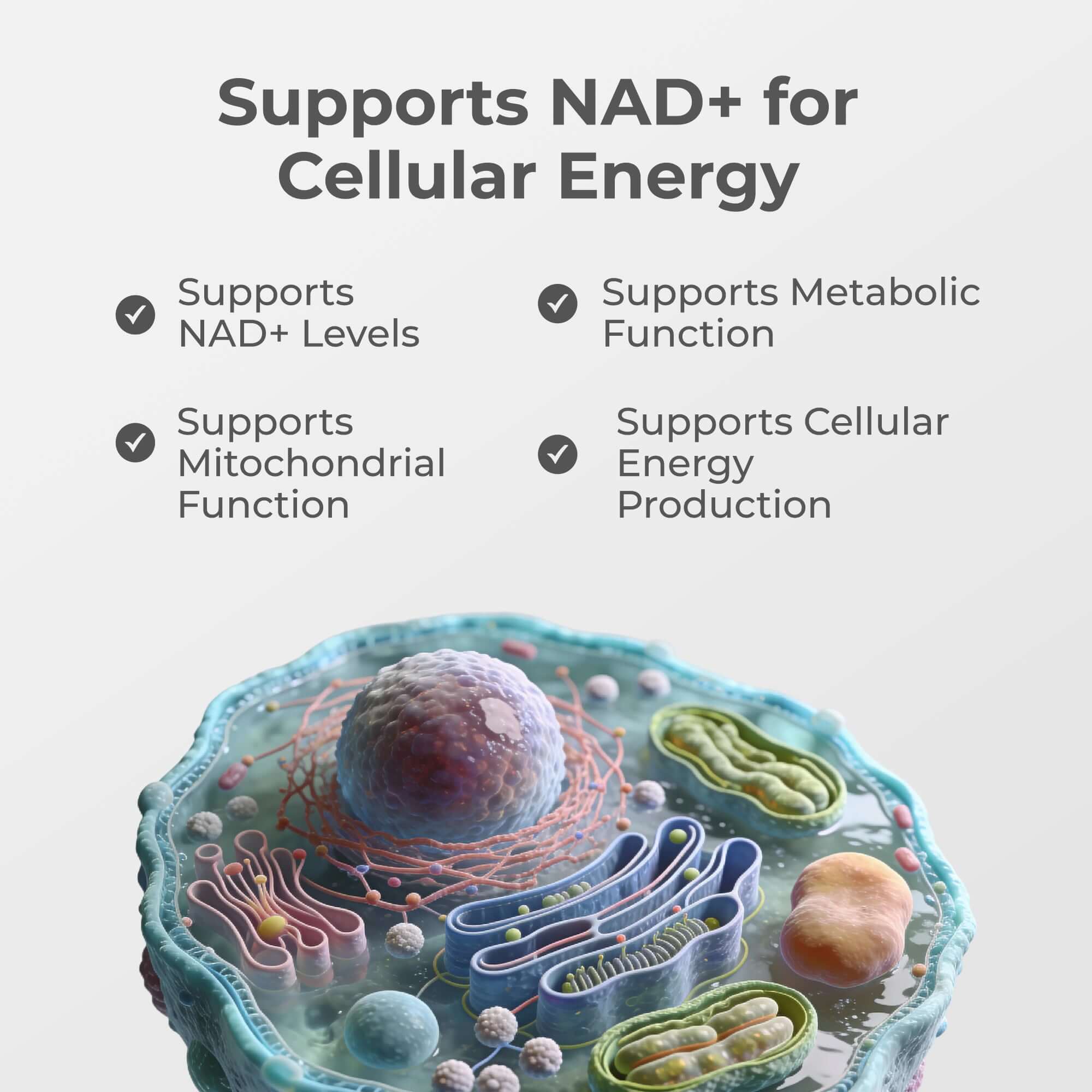 Liposomal NAD+ Capsules - Image 5