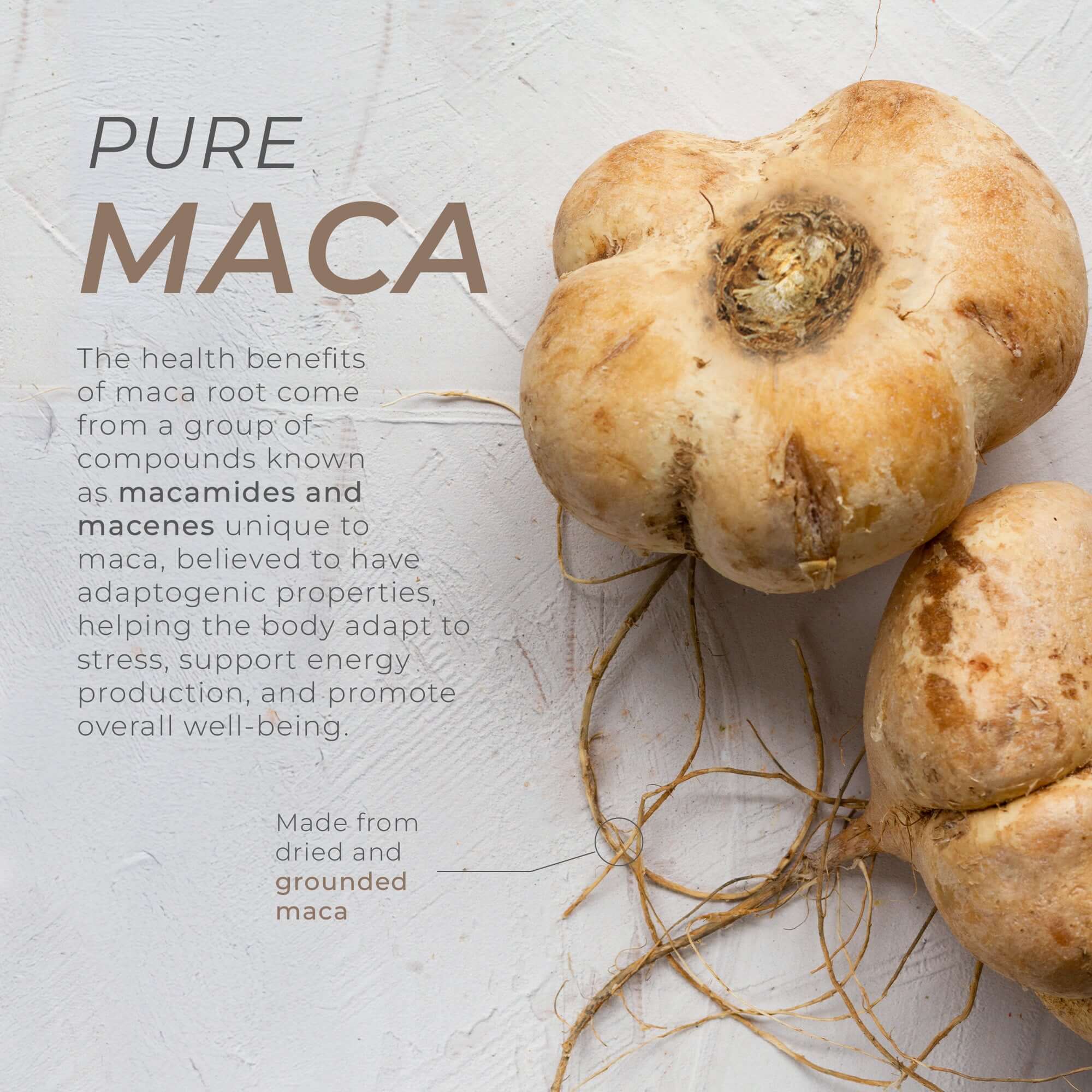 Maca Root Capsules - Image 5