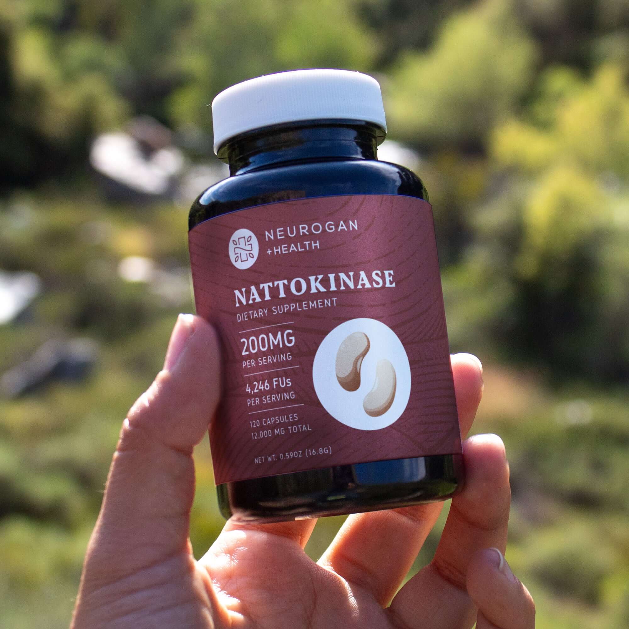 Nattokinase Capsules - Image 7