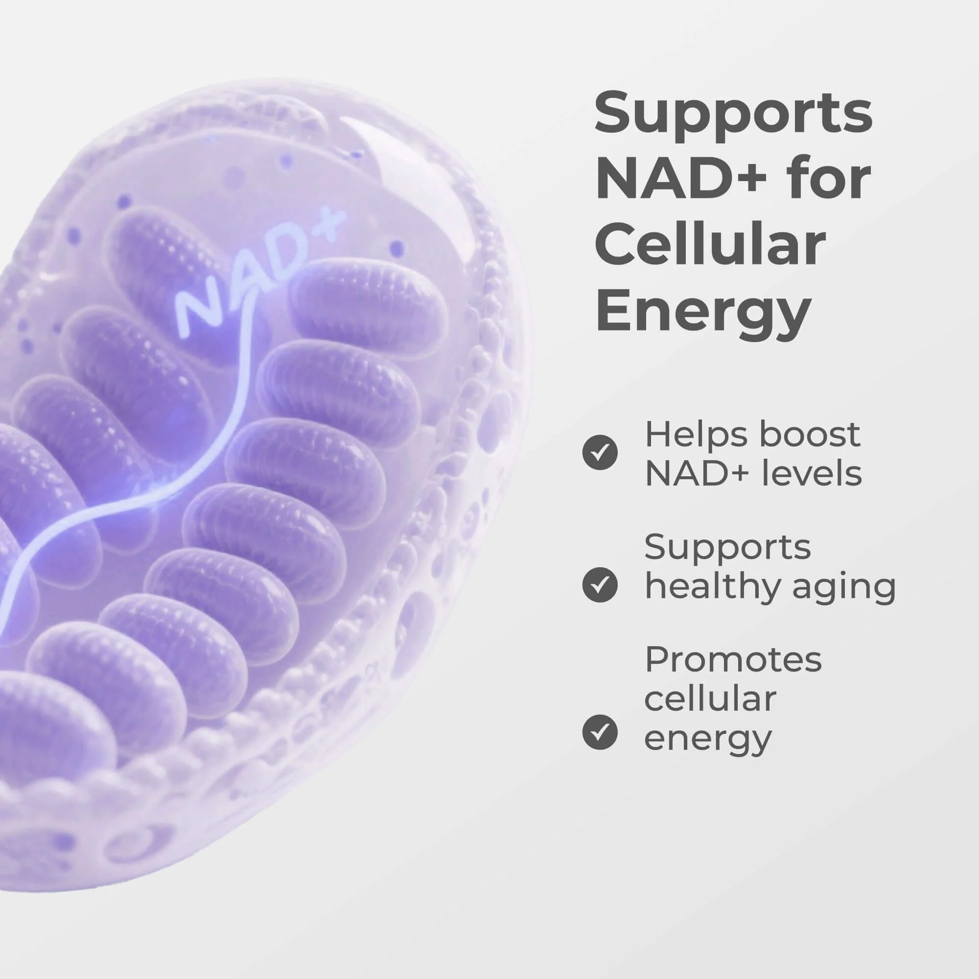NMN Capsules 500MG - Image 3
