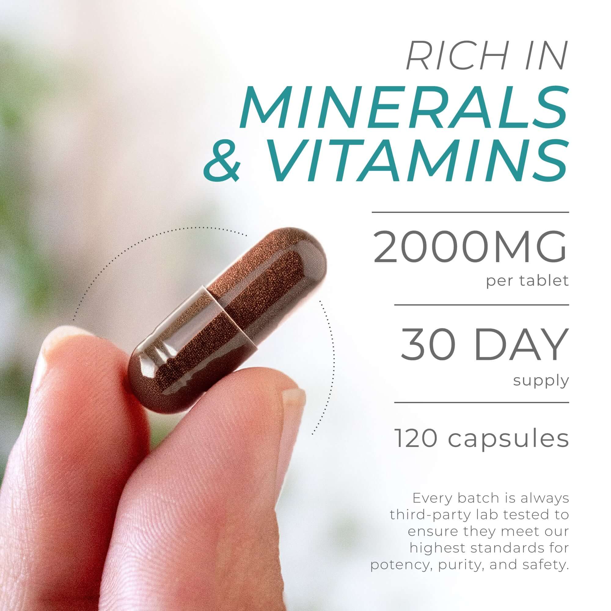 Sea Moss Capsules - Image 6