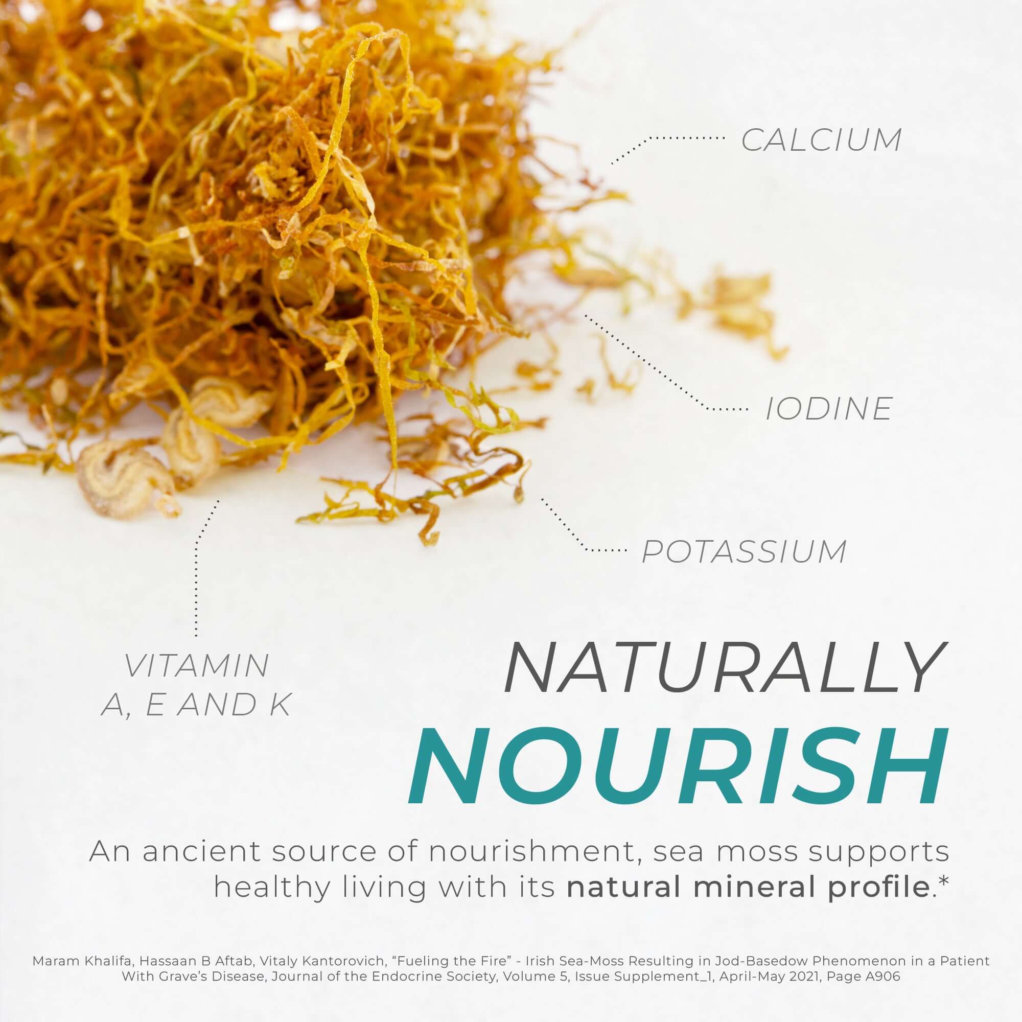 Sea Moss Capsules - Image 7