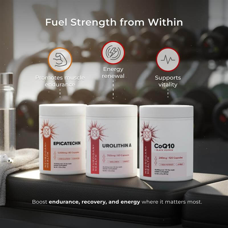 The Workout Stack - Image 4