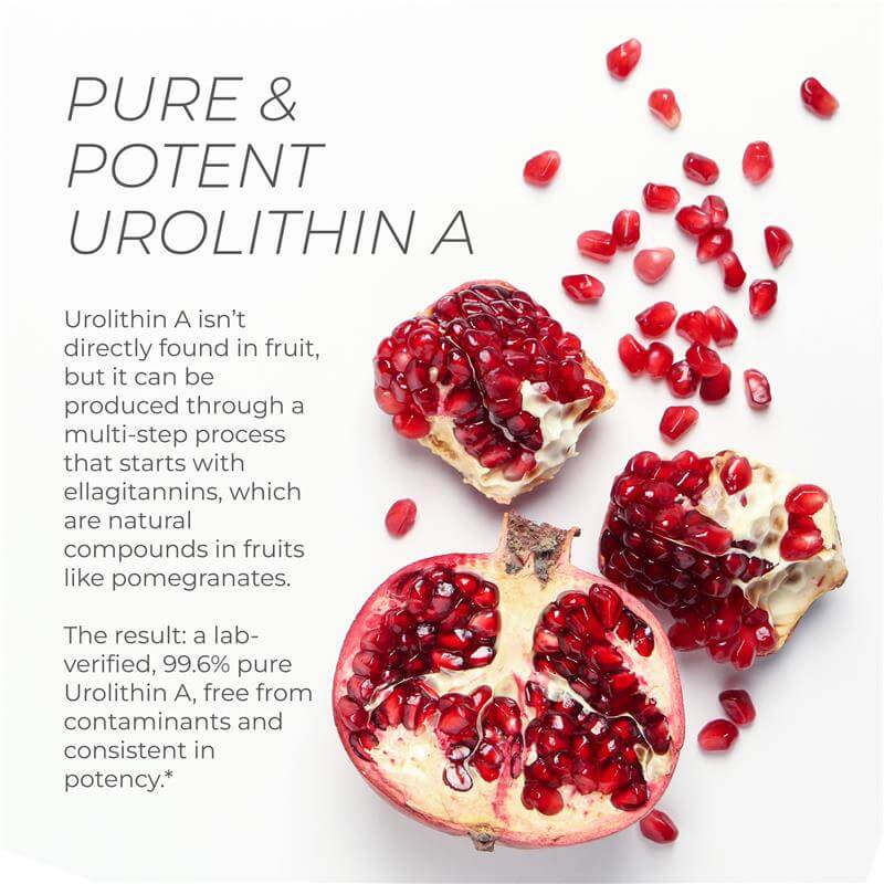 Urolithin A Pro Capsules - Image 4